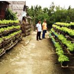 Arteche Pushes Food Sustainability thru the One Barangay, One Gulay Program