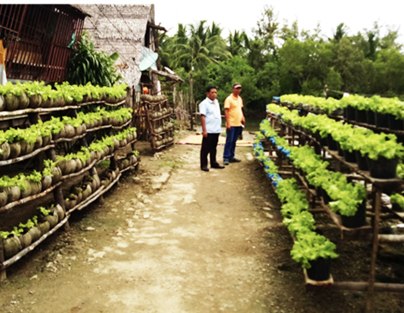 Arteche Pushes Food Sustainability thru the One Barangay, One Gulay Program